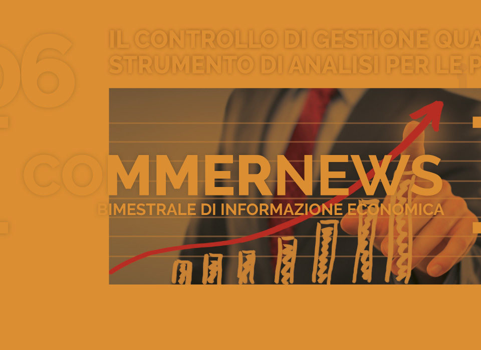 Il controllo di gestione quale strumento di analisi per le piccole e medie imprese.